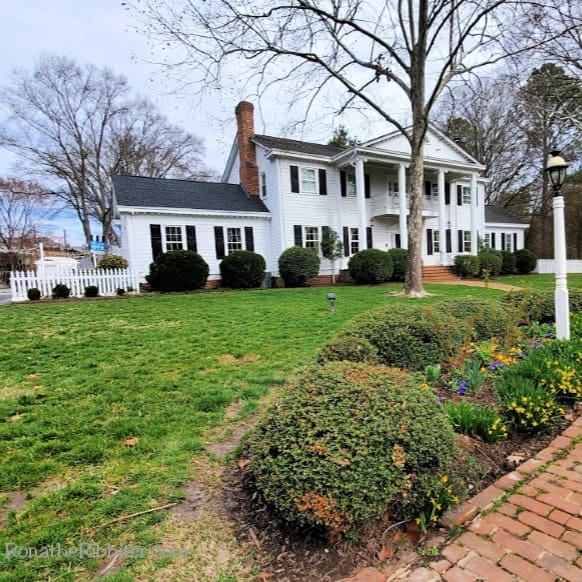 The Best Little Bed and Breakfast near Richmond, Virginia Rona the Ribbiter